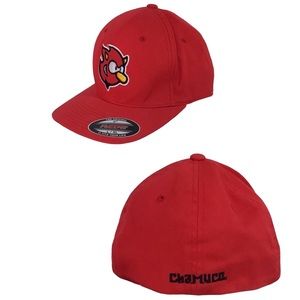 Flex Fit - Sports Team Fitted Baseball Hat - Sz L - New